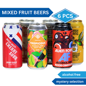 Mixed Fruit Beer Bundle (6 pcs)